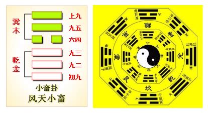 九卦|周易第9卦